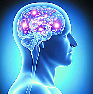 Memory Decline Concept